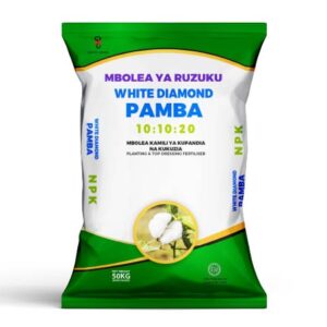 white diamond pamba