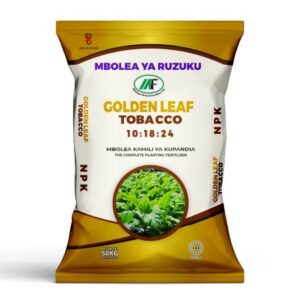 Golden leave tobacco