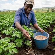 Fertilizer application